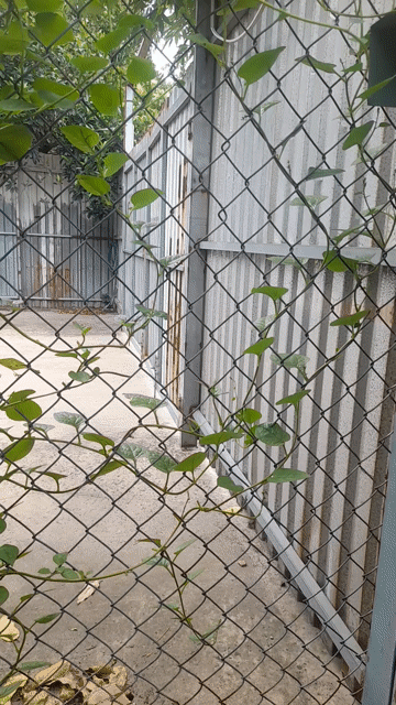 Cho thuê Nhà ở Huyện Hóc Môn Tp Hồ Chí Minh diện tích 65 m² giá 7 triệu/tháng