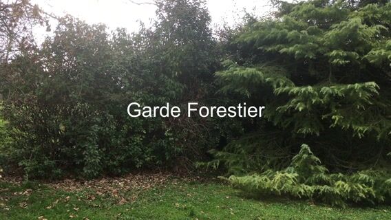 Fact checking sur le métier de garde forestier