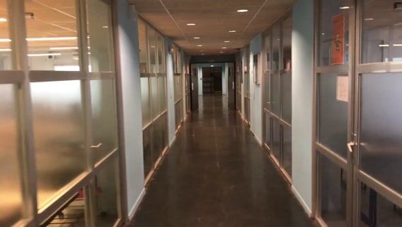 BAC pro MCV Animation et gestion de l’espace commercial