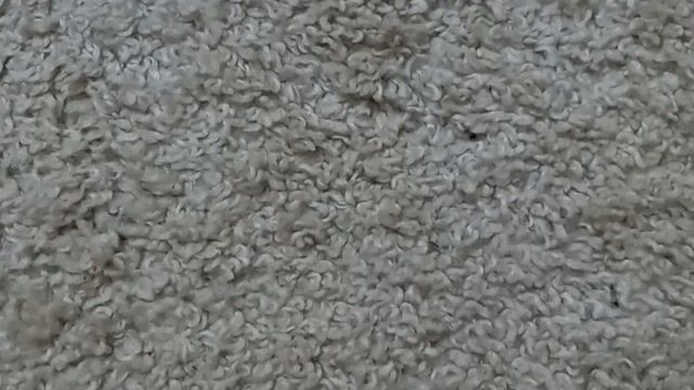 Model - Cum In My Holes anal