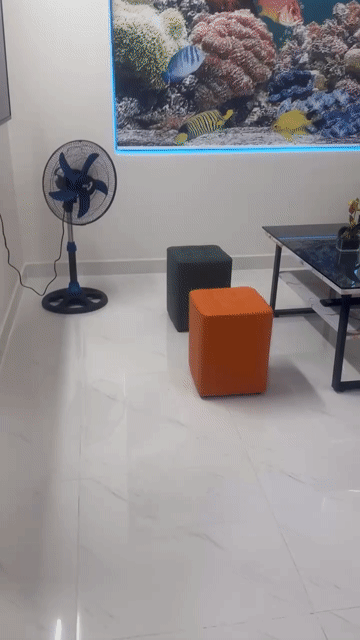 Cho thuê Căn hộ Chung cư Green River - Quận 8 Quận 8 Tp Hồ Chí Minh diện tích 65 m² giá 10,5 triệu/tháng