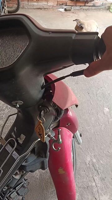 Wave Honda. Mua bán Xe máy tại Thành phố Thủ Dầu Một Bình Dương được đăng bởi Dumb Huynh hình 1