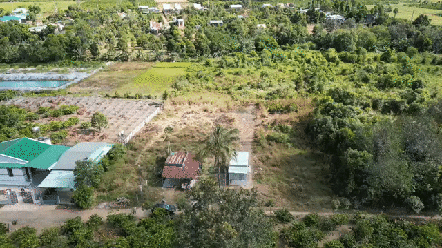 Mua bán Đất Huyện Ia Grai Gia Lai diện tích 291.2 m² giá 230 triệu