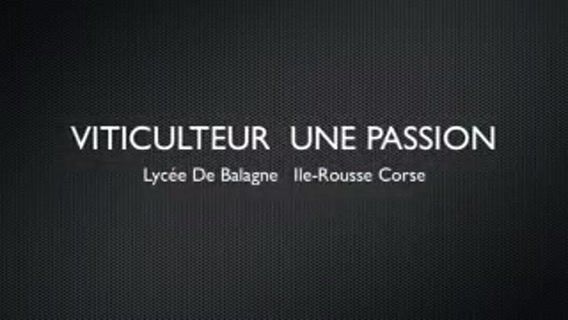 viticulteur, une passion