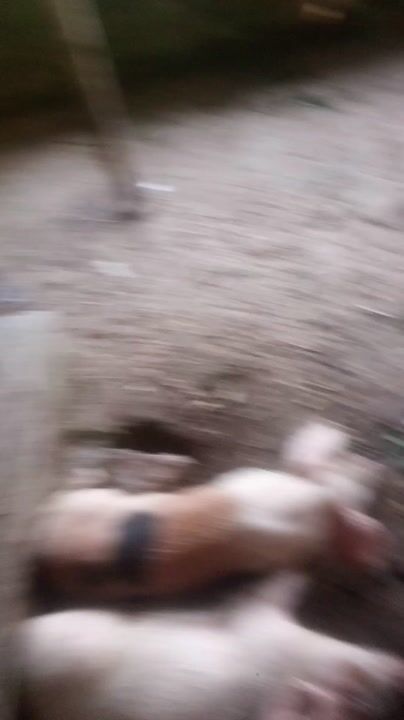 Nigeria video thumbnail