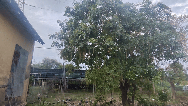 Cho thuê Nhà ở Thành phố Nha Trang Khánh Hòa diện tích 400 m² giá 6 triệu/tháng