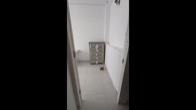 Cho thuê Căn hộ Chung cư Quận 7 Tp Hồ Chí Minh diện tích 16 m² giá 3,5 triệu/tháng
