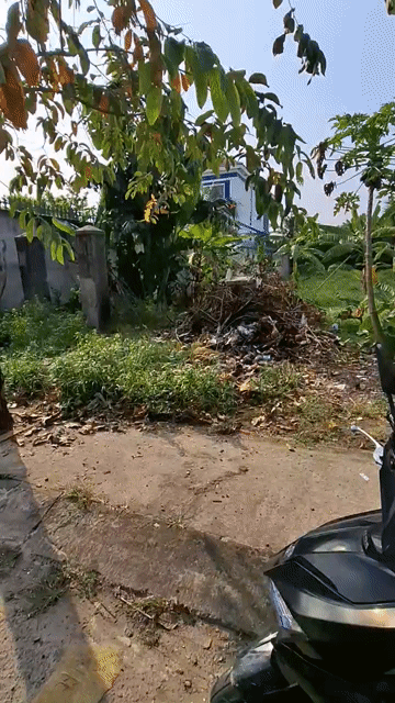 Mua bán Đất Huyện Hóc Môn Tp Hồ Chí Minh diện tích 450 m² giá 12 tỷ