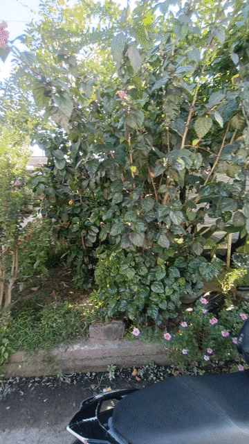 Mua bán Nhà ở Thành phố Hội An Quảng Nam diện tích 100 m² giá 3,2 tỷ