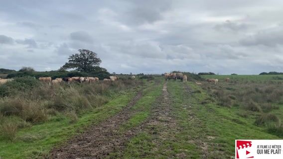 la preservation de la biodiversité