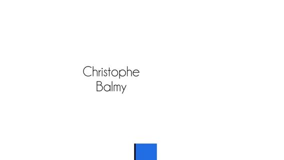 Christophe Balmy, Consultant BI