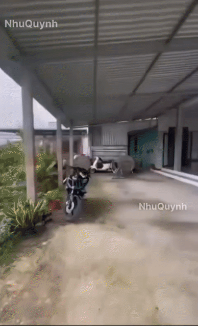 Mua bán Nhà ở Huyện Chơn Thành Bình Phước diện tích 600 m² giá 210 triệu