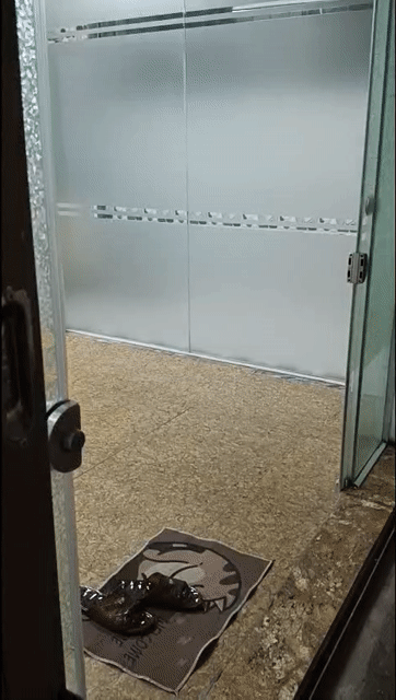 Cho thuê Căn hộ Chung cư Khu tập thể Vĩnh Hồ Quận Đống Đa Hà Nội diện tích 55 m² giá 7 triệu/tháng