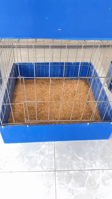 Chuồng gà 60 vuông. Mua bán Phụ kiện, Thức ăn, Dịch vụ tại Quận Tân Bình Tp Hồ Chí Minh được đăng bởi Nguyễn Chiến Thắng hình 1