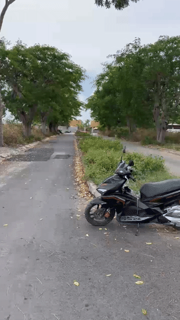 Mua bán Đất Huyện Cần Giờ Tp Hồ Chí Minh diện tích 1000 m² giá 69 tỷ