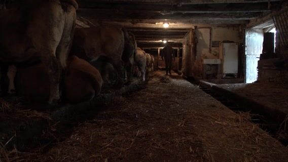 machinisme et environnement