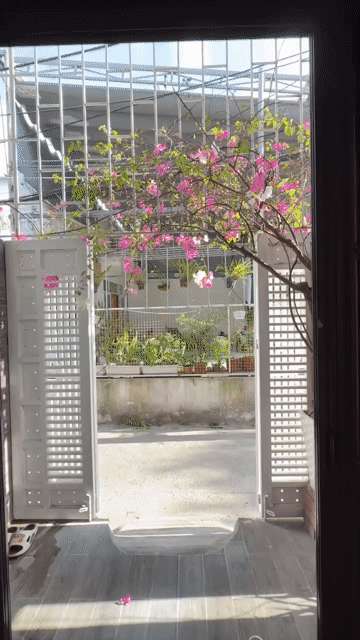 Cho thuê Nhà ở Quận Sơn Trà Đà Nẵng diện tích 60 m² giá 20 triệu/tháng