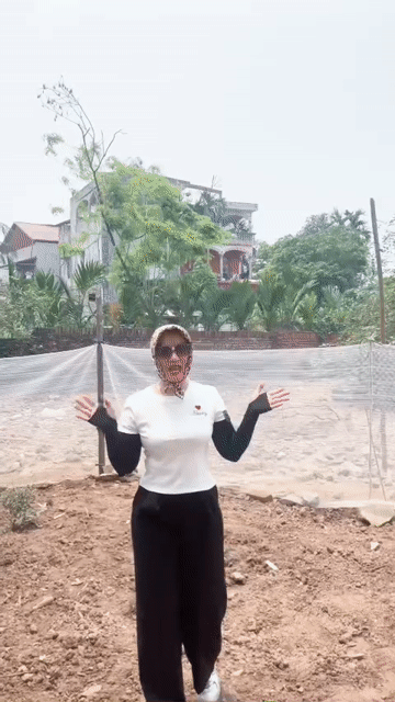 Mua bán Đất Huyện Gia Lâm Hà Nội diện tích 300 m² giá 7,5 tỷ