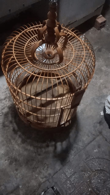 lồng 60 nan Size 40. Mua bán Phụ kiện, Thức ăn, Dịch vụ tại Quận Bình Tân Tp Hồ Chí Minh được đăng bởi lâm nguyễn hình 1
