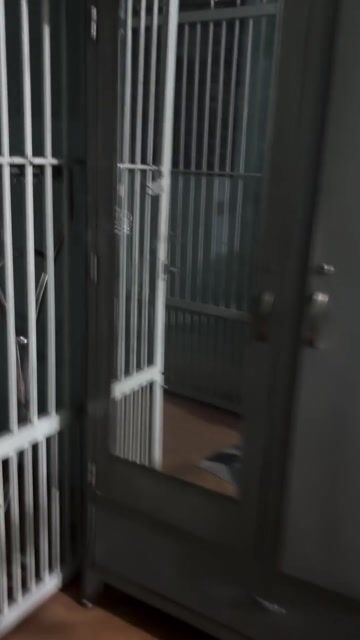 Tủ lạnh cấp đông. Mua bán Tủ lạnh tại Quận Gò Vấp Tp Hồ Chí Minh được đăng bởi Nhi Heo hình 1