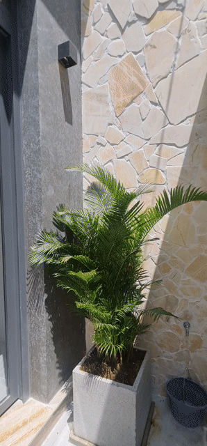 Mua bán Nhà ở Quận 4 Tp Hồ Chí Minh diện tích 40 m² giá 8,8 tỷ