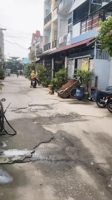 Mua bán Đất Quận Bình Tân Tp Hồ Chí Minh diện tích 56 m² giá 2,25 tỷ