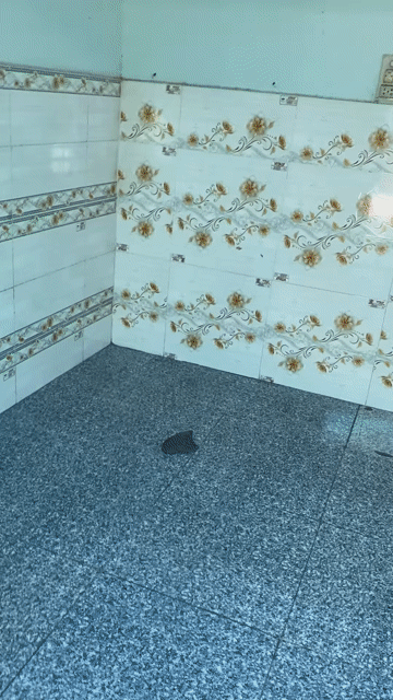 Cho thuê Phòng trọ Thị xã Bến Cát Bình Dương diện tích 20 m² giá 1,2 triệu/tháng