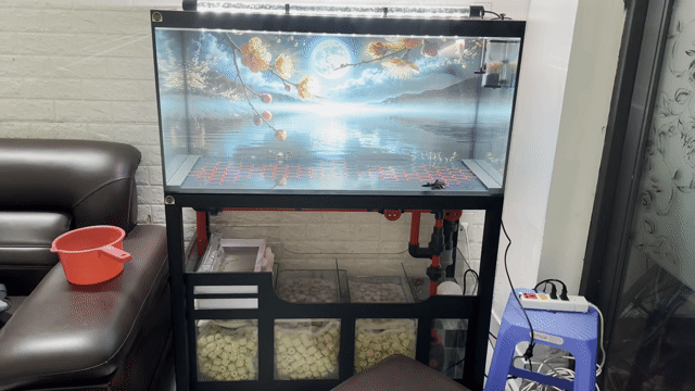 Hồ cá cảnh 1m x 50cm x 50cm Đã sử dụng. Mua bán Phụ kiện, Thức ăn, Dịch vụ tại Quận Cẩm Lệ Đà Nẵng được đăng bởi Bin hình 1