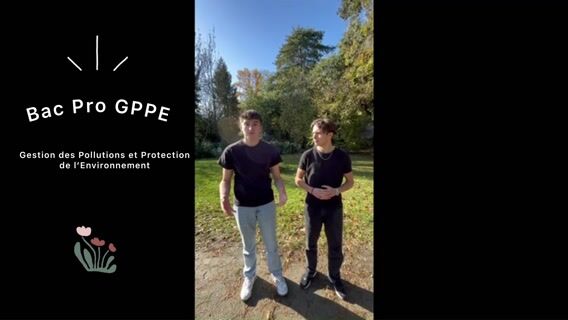 Le métier d'enlèvement des graffitis