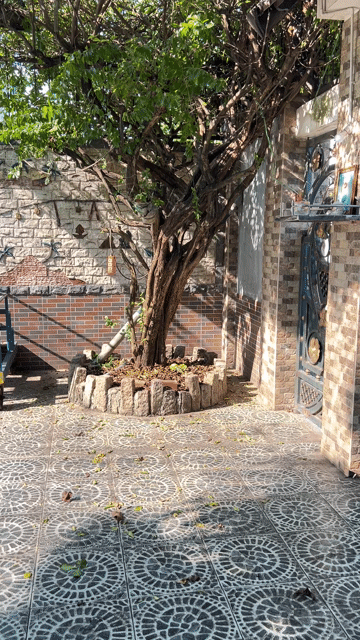 Mua bán Đất Huyện Hóc Môn Tp Hồ Chí Minh diện tích 2039 m² giá 25 tỷ