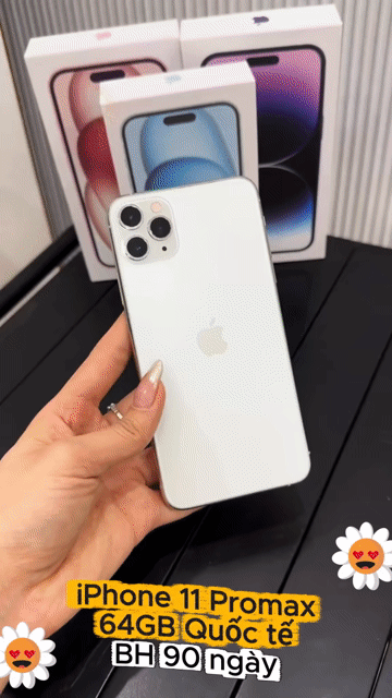 iPhone 11 Pro Max 64GB Trắng Full face màn zin. Mua bán Điện thoại tại Thành phố Bến Tre Bến Tre được đăng bởi TN Store hình 1