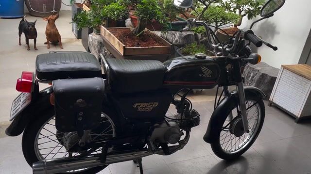 Bán xe CD50. Mua bán Xe máy tại Thành phố Vũng Tàu Bà Rịa - Vũng Tàu được đăng bởi Nguyễn Mạnh Khoát hình 1