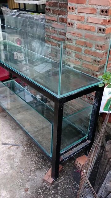 Bể cá cảnh Kính 10 li Mới. Mua bán Phụ kiện, Thức ăn, Dịch vụ tại Thị xã Phú Mỹ Bà Rịa - Vũng Tàu được đăng bởi Pets  hình 1