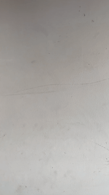 Chim chào mào Hơn 2 mùa Thuần. Mua bán Chim tại Quận Tân Phú Tp Hồ Chí Minh được đăng bởi Thanh Phú hình 1