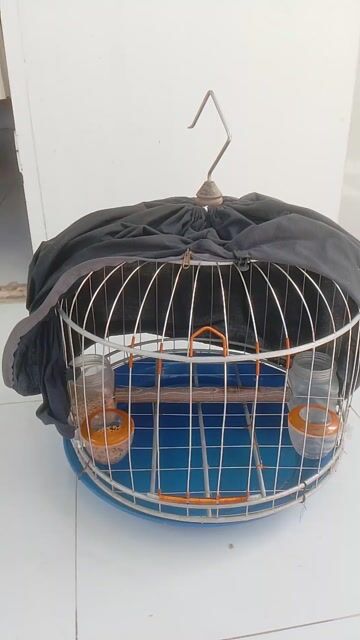 Lồng chim 38 như hình . Mua bán Phụ kiện, Thức ăn, Dịch vụ tại Quận Ninh Kiều Cần Thơ được đăng bởi thanh sang hình 1