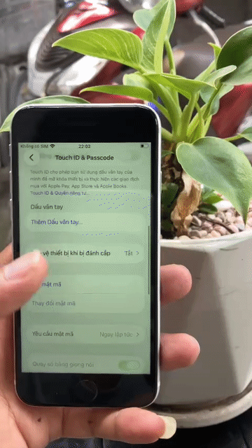 Apple iPhone SE2/2020 128GB Trắng Zin Keng. Mua bán Điện thoại tại Huyện Hóc Môn Tp Hồ Chí Minh được đăng bởi NgọcĐậpChai hình 1