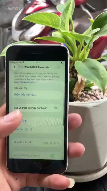 Apple iPhone SE2/2020 128GB Trắng Zin Keng. Mua bán Điện thoại tại Huyện Hóc Môn Tp Hồ Chí Minh được đăng bởi NgọcĐậpChai hình 1