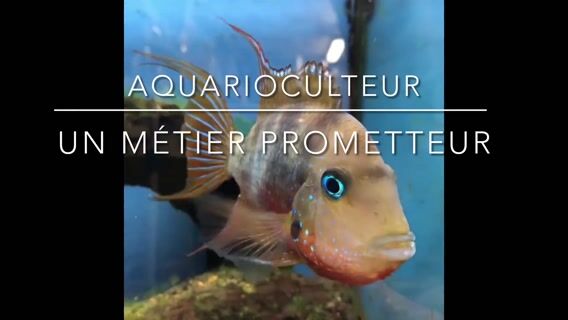 Aquarioculteur, un métier prometteur!