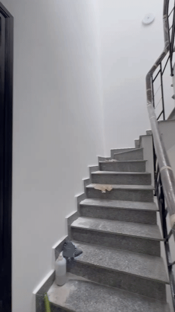 Cho thuê Căn hộ Chung cư Quận 8 Tp Hồ Chí Minh diện tích 30 m² giá 8,1 triệu/tháng