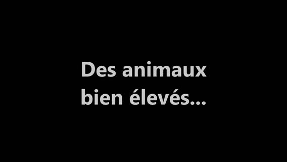 Des animaux bien élevés