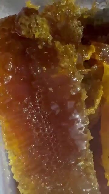 mật ong rừng nguyên tổ. Mua bán Đồ ăn, thực phẩm và các loại khác tại Thành phố Biên Hòa Đồng Nai được đăng bởi Út Nguyễn hình 1