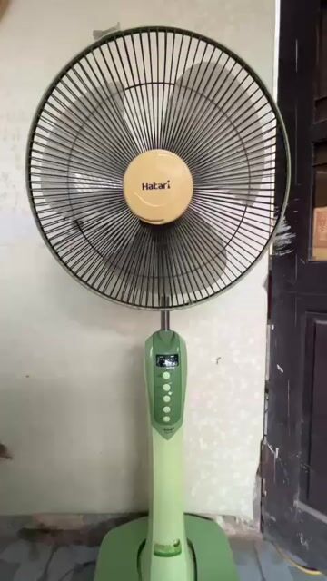 Quạt cây Hatari Xanh lá có điều khiển. Mua bán Quạt tại Huyện Hoài Đức Hà Nội được đăng bởi Đồ Cũ DK hình 1