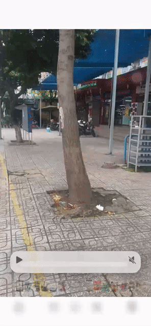 Cho thuê Văn phòng, Mặt bằng kinh doanh Thành phố Biên Hòa Đồng Nai diện tích 180 m² giá 7 triệu/tháng
