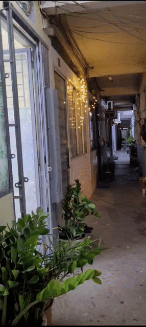 Cho thuê Phòng trọ Quận 8 Tp Hồ Chí Minh diện tích 33 m² giá 5 triệu/tháng