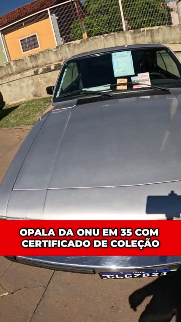 OPALA COM CERTIFICADO DE COLEÇÃO #opala