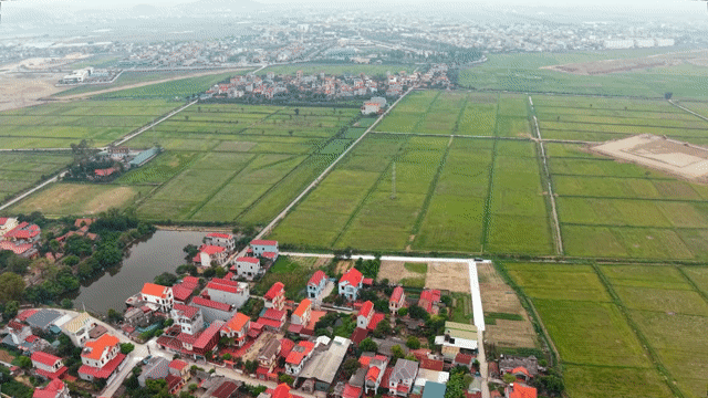 Mua bán Đất Huyện Gia Bình Bắc Ninh diện tích 80.3 m² giá 2,368 tỷ