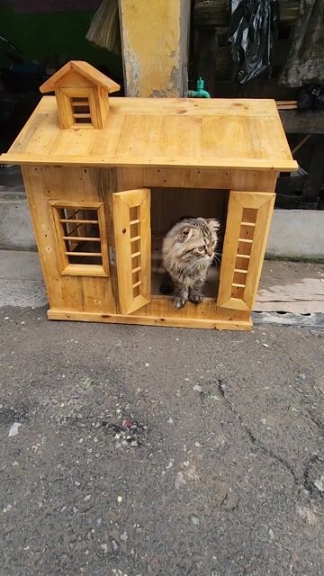 Nhà cho thú cưng Gỗ thông thông. Mua bán Phụ kiện, Thức ăn, Dịch vụ tại Quận Bắc Từ Liêm Hà Nội được đăng bởi andong138 hình 1