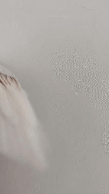 Chim Vẹt Cockatiel Trắng xám Non khỏe mạnh. Mua bán Chim tại Quận 12 Tp Hồ Chí Minh được đăng bởi Lê Trọng Tính hình 1