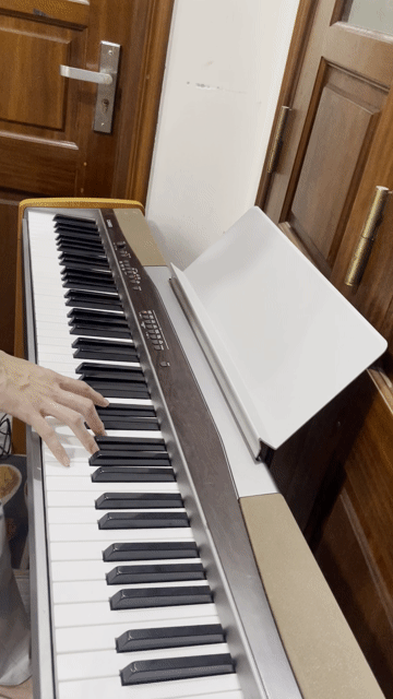 Đàn Piano điện Casio PX-100 Nâu, Xám. Mua bán Nhạc cụ tại Quận Hai Bà Trưng Hà Nội được đăng bởi JAPAN PIANO hình 1