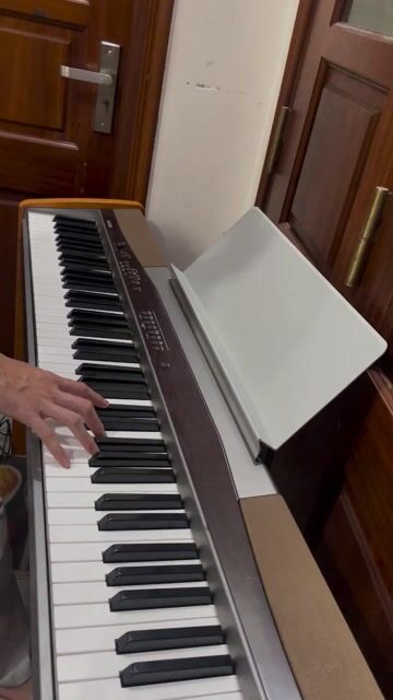 Đàn Piano điện Casio PX-100 Nâu, Xám. Mua bán Nhạc cụ tại Quận Hai Bà Trưng Hà Nội được đăng bởi JAPAN PIANO hình 1